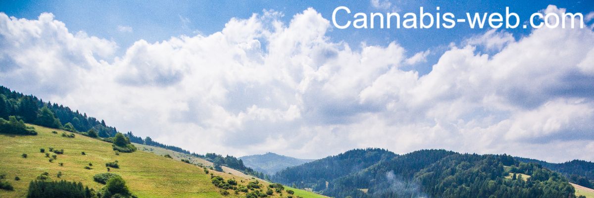 cannabis-web.com